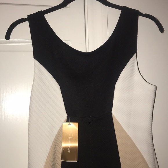 NWT Francesca’s colorblock dress - Picture 3 of 4
